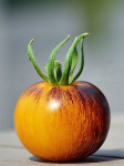 pic