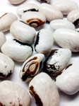 pic